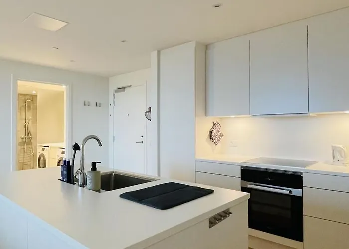 Apartmentincopenhagen 1669 Kopenhagen